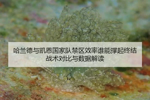 ha-lan-de-yu-kai-en-guo-jia-dui-jin-qu-xiao-lv-shui-neng-cheng-qi-zhong-jie-zhan-shu-dui-bi-yu-shu-ju-jie-du-2-248.jpg